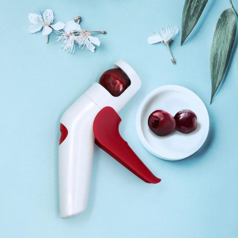 Cherry Red Dates Hawthorn Pitt - Workshop Tools And Equipment ulasan dan harga